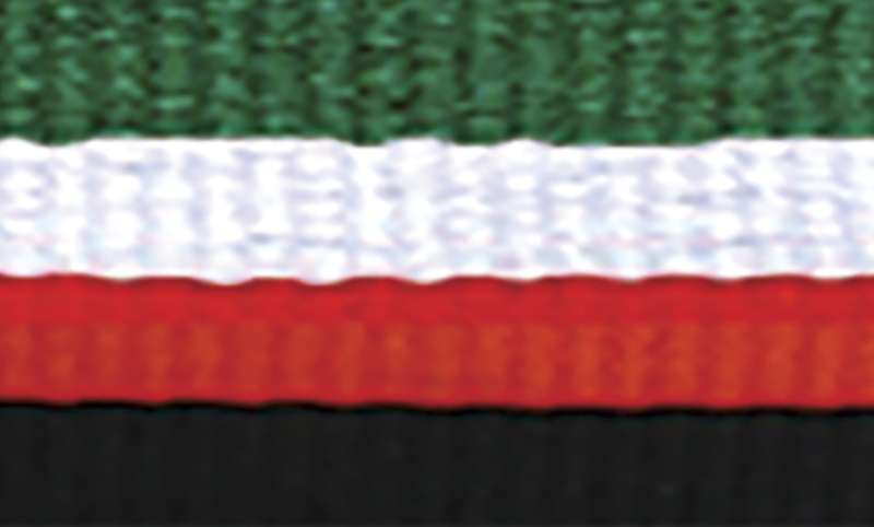 orginal_1065gn-wh-r-bk.jpg