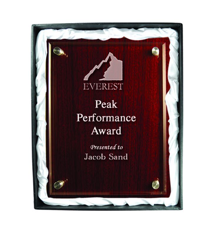 Plaque with Acrylic 225mm
